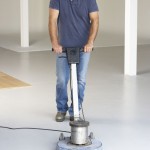 The Importance of Professional Mold Removal Henderson