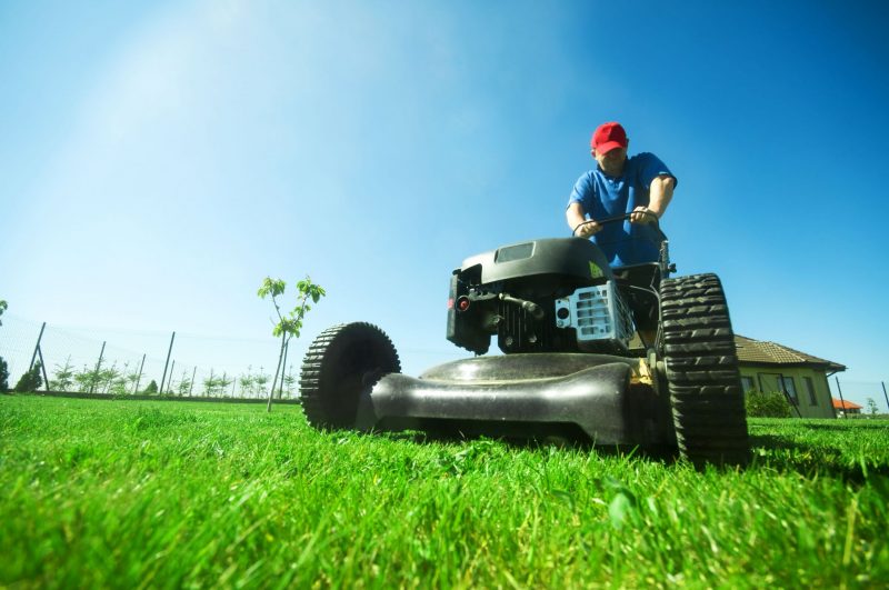 Enjoy a Pristine Yard All Season Long With Lawn Service in Shelbyville, KY Care