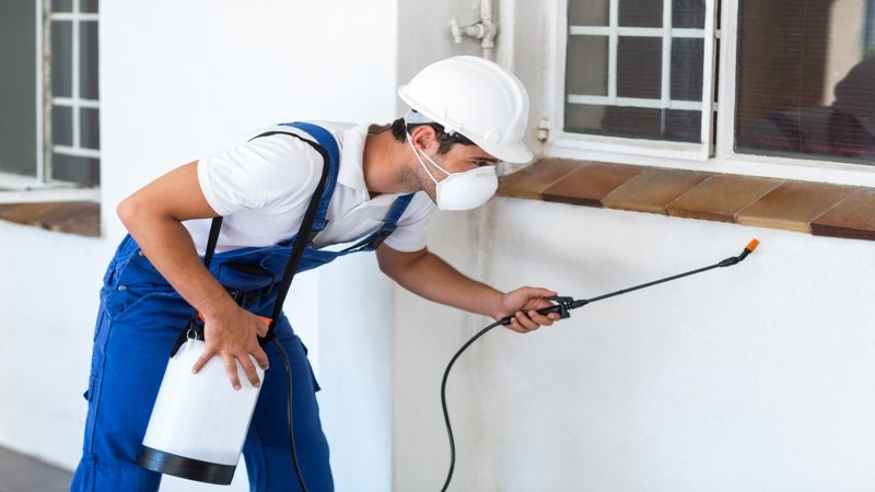 Hire Pest Control Services in Brick NJ to Secure Your Home