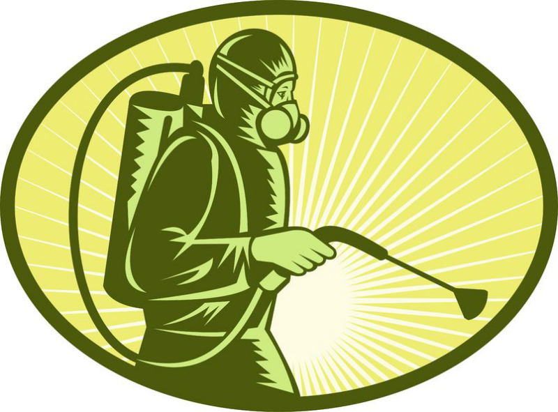Why You Need to Hire Pest Control Services in Boynton Beach Florida