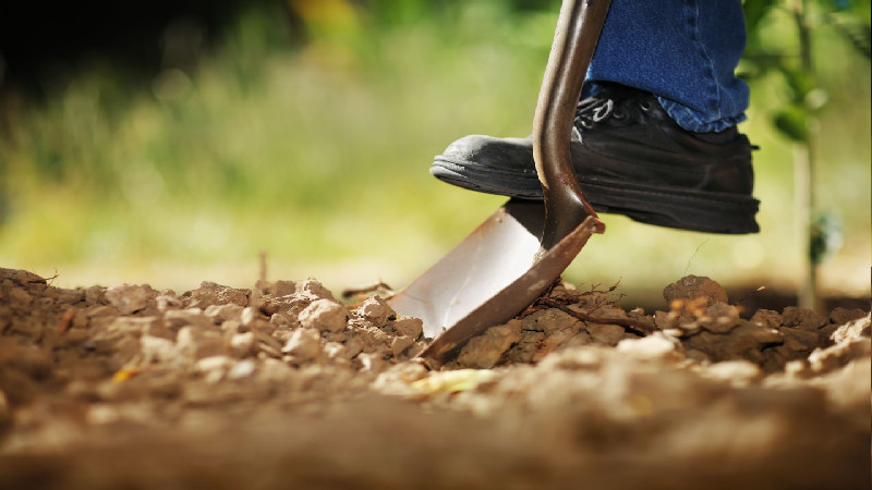 2 Reasons to Utilize and Apply This Brand of Fertilizers in Indiana