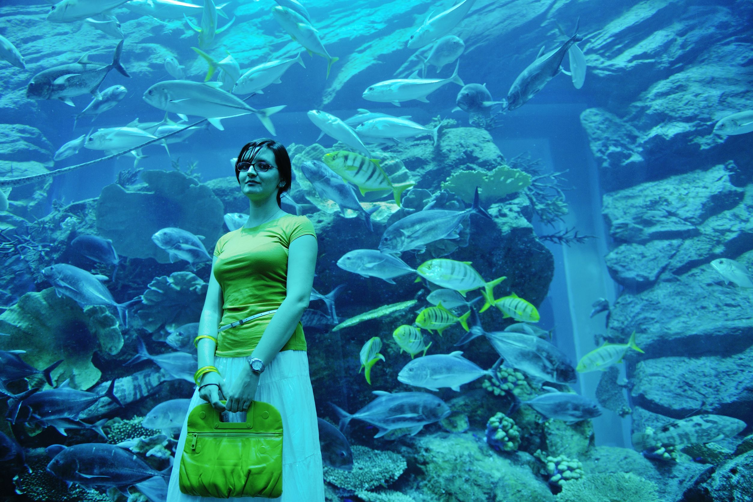 Book a Group Visit in Miami At a Local Science Center