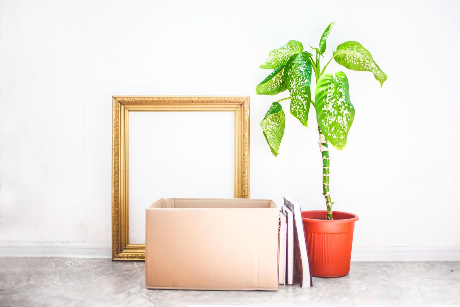 Ways to Contribute Donations to Charitable Trusts