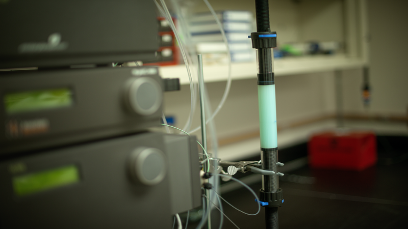 Protein A Antibody Purification Services