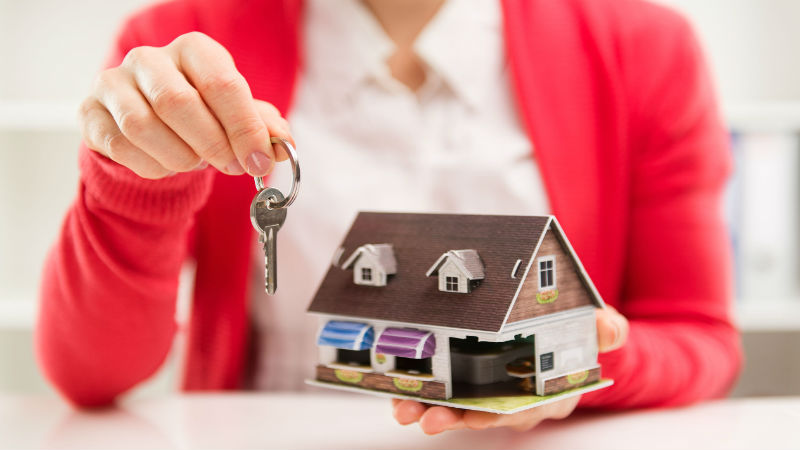 What to Know When Looking for Pet-Friendly Student Housing in Norman