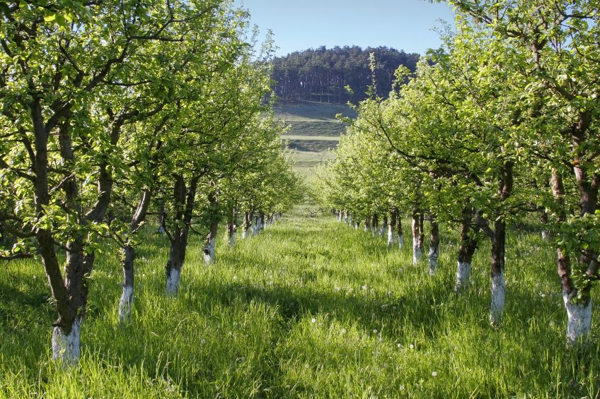 Working with a Farm Real Estate Company in Union County, IA, Saves Time
