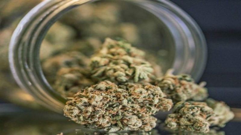 Embracing the Freedom: Exploring Recreational Weed in Colorado