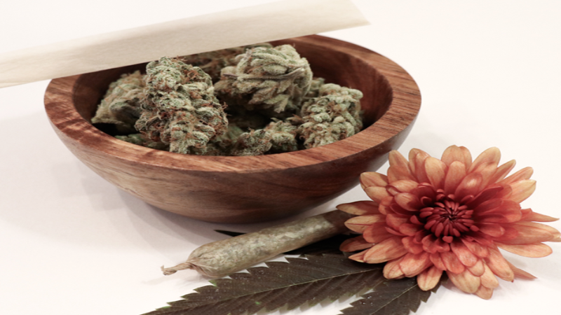 How To Select a Dependable Weed Delivery Service in San Francisco
