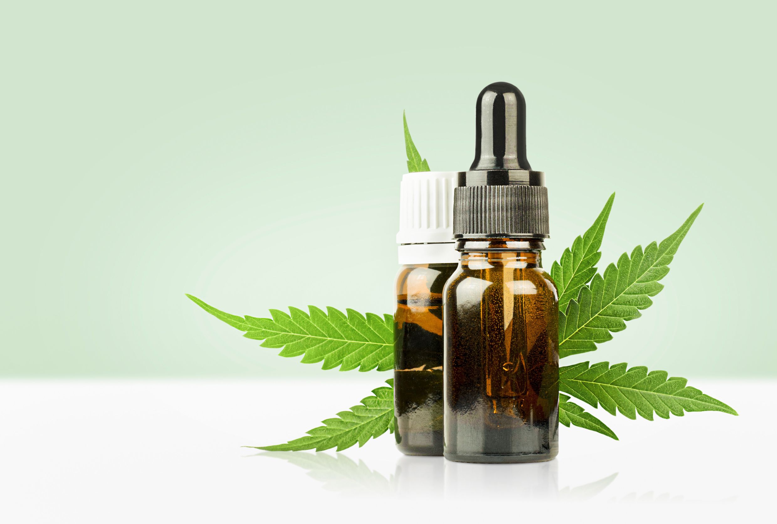 Get Your Medical Card in Clearwater, FL Fast