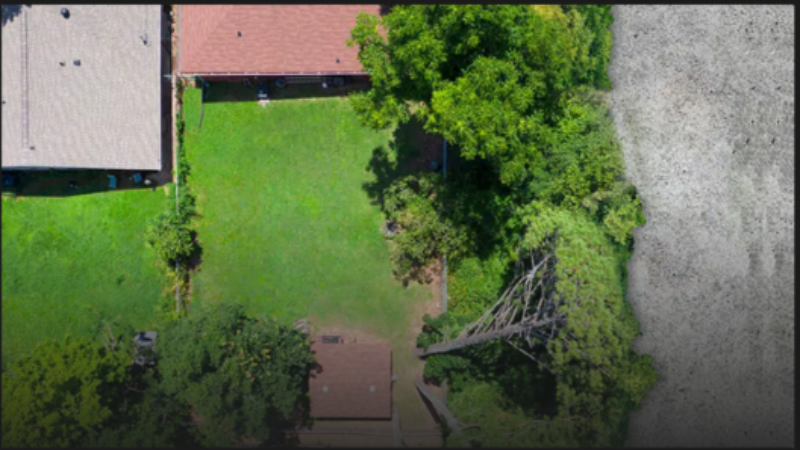 Signs of a Good Company Offering Emergency Tree Service in Atlanta, GA