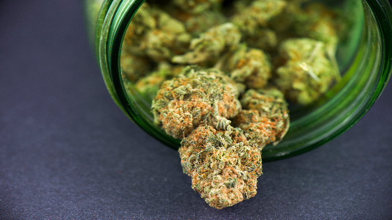 What to Look for in the Best Dispensary in Rio Rancho, NM