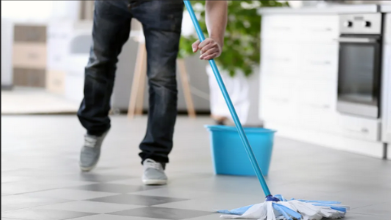 When to Call for Mold Removal in Lakewood, CO