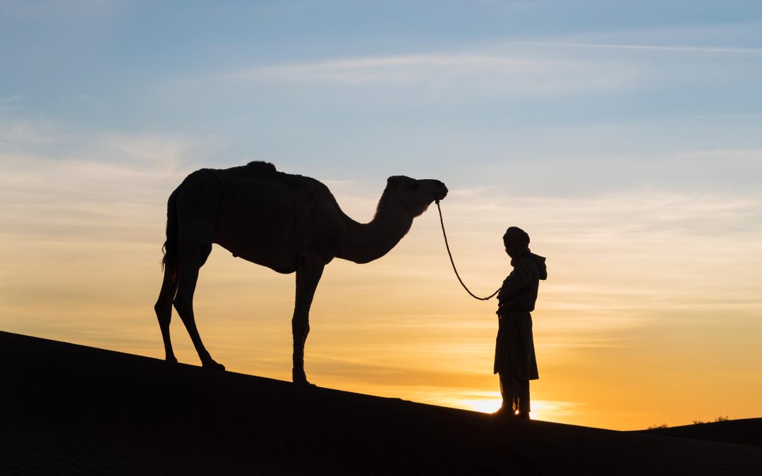 Discovering Morocco With a Marrakech Tour Company