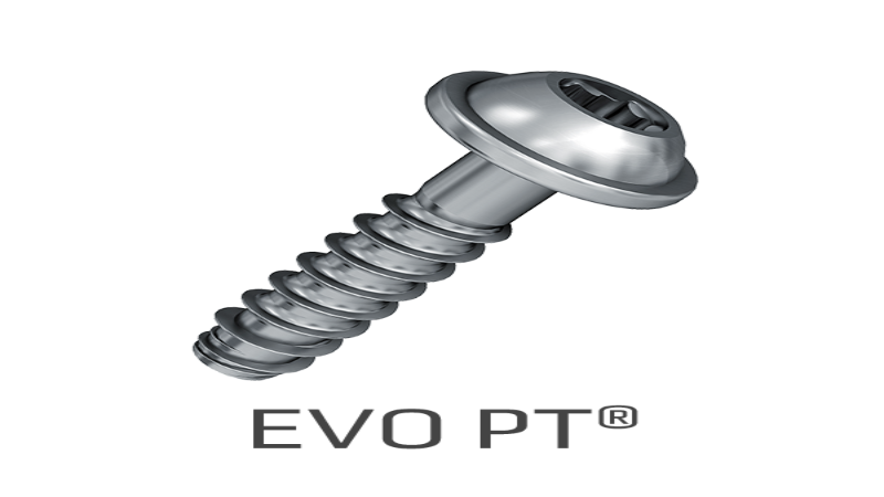 Steel Thread Rolling Screw For Plastic: A Reliable Solution for Plastic Assemblies