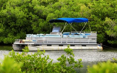 Boating Made Easy: Discover Boats for Sale Near Naples, FL