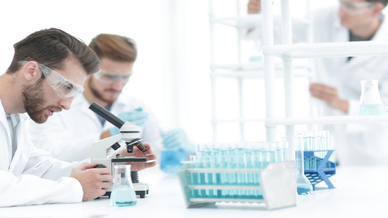 Unlocking the Essentials of the Five Panel Urine Test: Everything You Need to Know