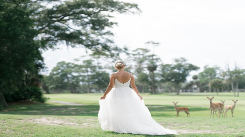 Unforgettable Wedding Venues In South Carolina: Your Dream Celebration Awaits