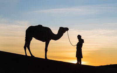 Why Booking Through a Morocco Travel Agency Ensures Stress Free Trips for African Tourists
