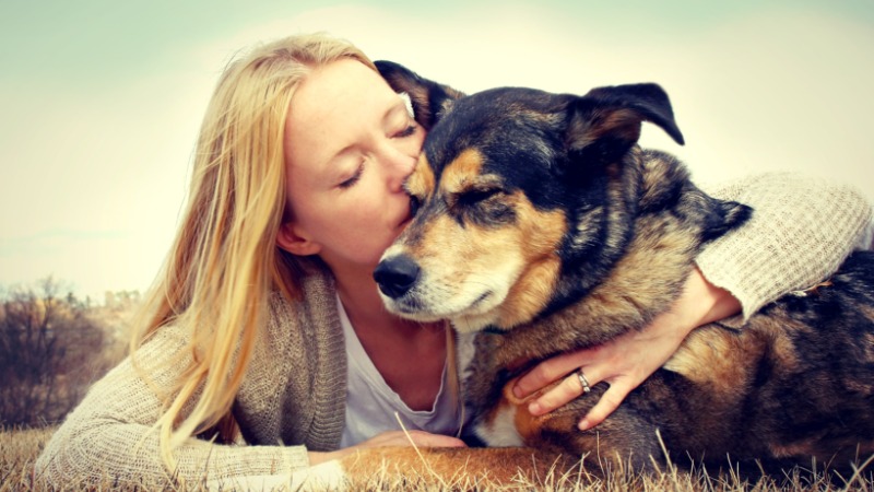 Find Happiness for Your Pets at a Pet Boarding Center In Denver Locals Rely On
