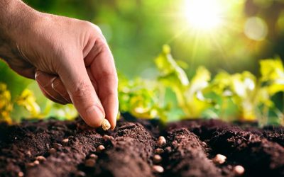 Improve Soil Quality Fast by Choosing Topsoil Products Near Hartland, WI