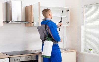 Keep Your Home PestFree with Exterminator Services Frisco TX for Lasting Protection