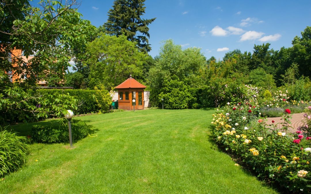 The Complete Guide to Full Landscape Installation for New Homes in Peoria, AZ