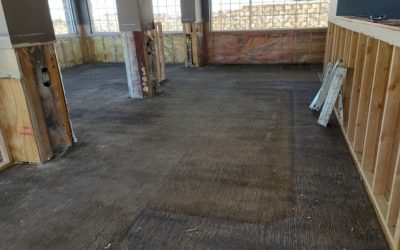 Protect Your Home Fast with Water Damage Restoration Services Blaine Offers Locally