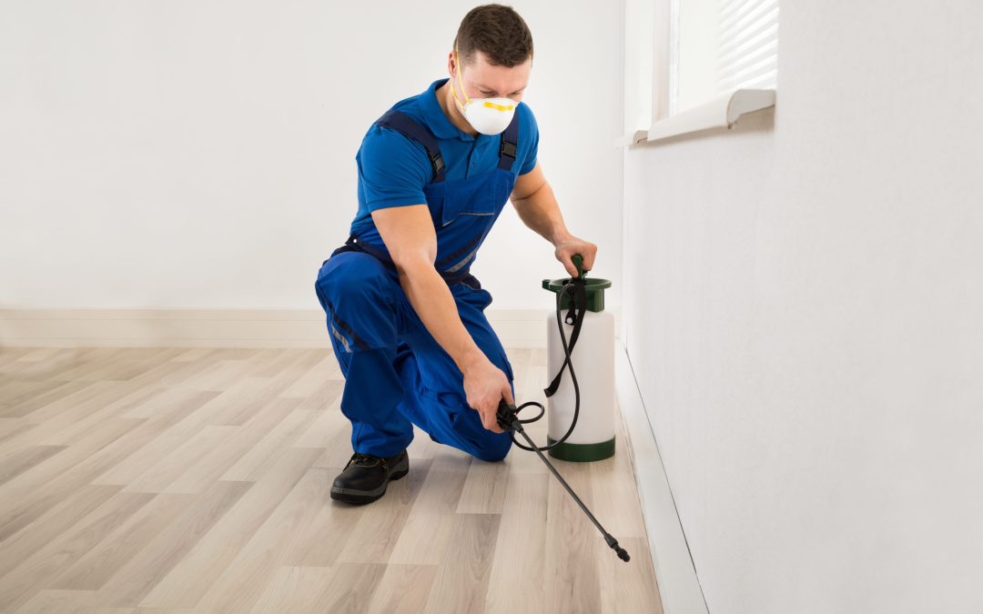 How a Free Pest Control Inspection in Plymouth County MA Can Save Your Home from Infestations