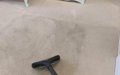 Refresh your home with expert rug cleaning Arvada CO residents trust for a healthier space