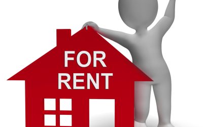 Pet Friendly Rental Apartments Panama City FL with Amenities for Every Furry Friend