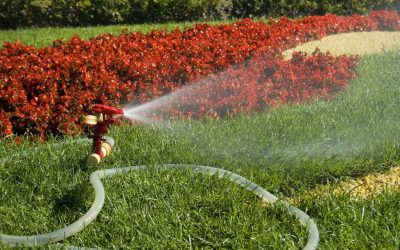 Secrets for Thriving Grass Using Effective Lawn Care Maintenance In Colorado Springs Strategies