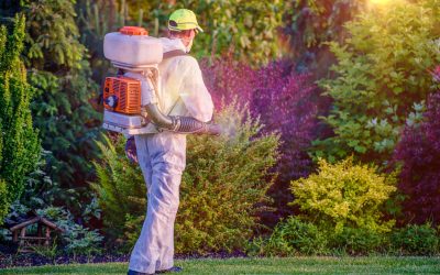 How Lawn Aeration Service in Haymarket, VA, Boosts Grass Health and Curb Appeal