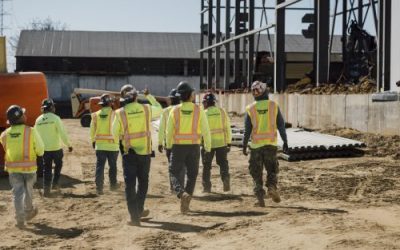 What to Expect from Cold Storage Facility Construction in California for Food Safety Success