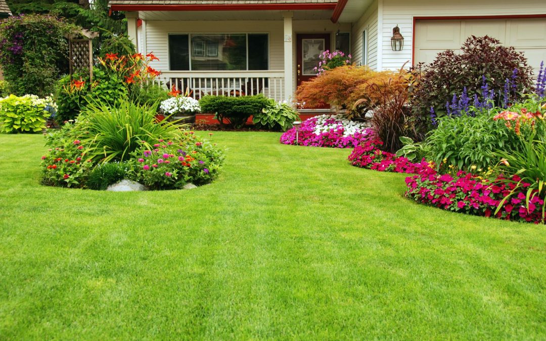 Creative ways to use decorative planters in Boynton Beach, FL, for beautiful curb appeal